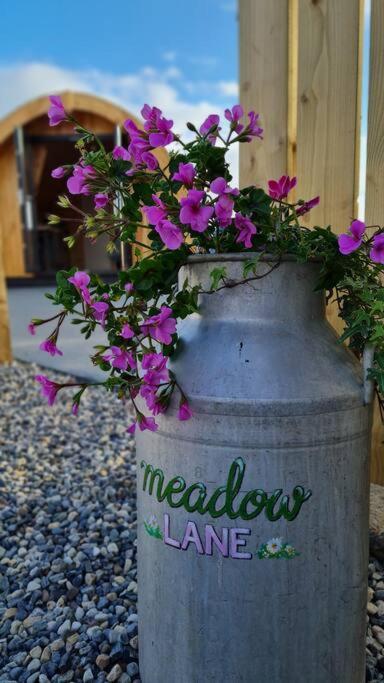 Ferienwohnung Meadow Lane Sligo Exterior foto